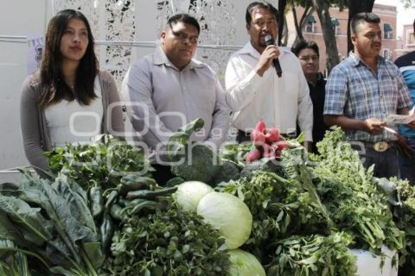 FERIA DE LEGUMBRES Y HORTALIZAS