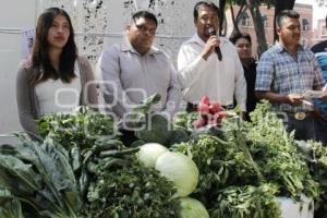 FERIA DE LEGUMBRES Y HORTALIZAS