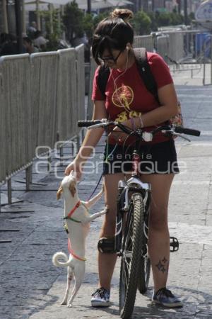 CICLOVÍA  ZÓCALO