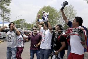 LOBOS BUAP