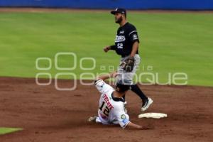 BÉISBOL . PERICOS VS SULTANES