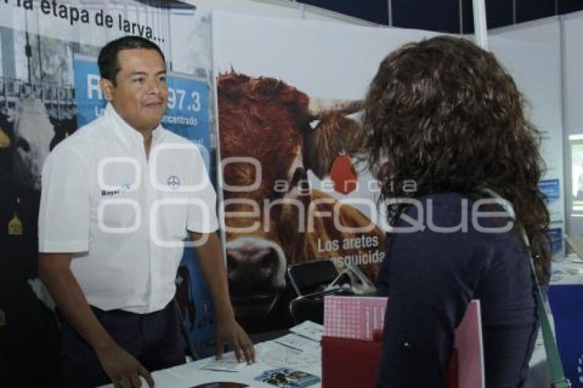 FORO INTERNACIONAL DE MEDICINA EN BOVINOS