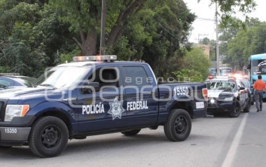 OPERATIVO . POLICÍA FEDERAL