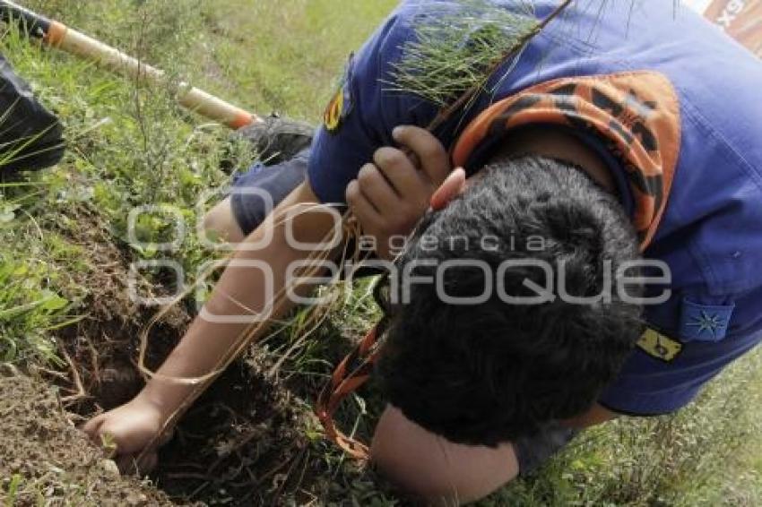 JORNADA DE REFORESTACIÓN