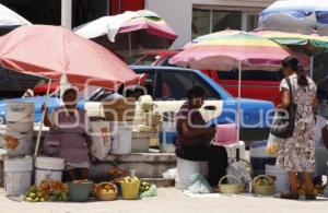 PITAYAS Y MANGOS . ACATLÁN