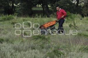 JORNADA DE REFORESTACIÓN