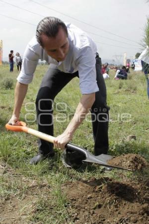 JORNADA DE REFORESTACIÓN