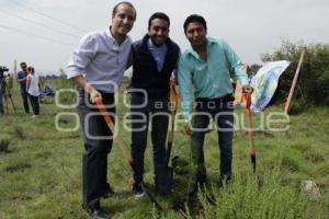 JORNADA DE REFORESTACIÓN