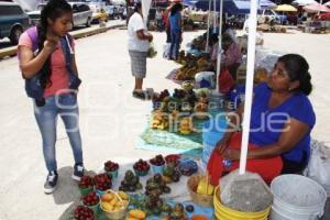 PITAYAS Y MANGOS . ACATLÁN