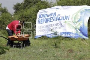 JORNADA DE REFORESTACIÓN