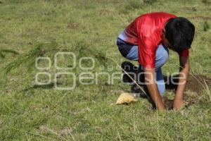 JORNADA DE REFORESTACIÓN