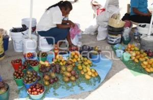 PITAYAS Y MANGOS . ACATLÁN