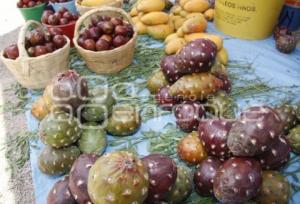 PITAYAS Y MANGOS . ACATLÁN