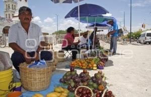 PITAYAS Y MANGOS . ACATLÁN