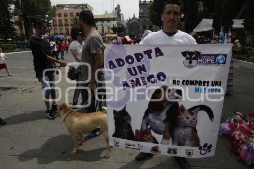 ADOPTA, NO COMPRES
