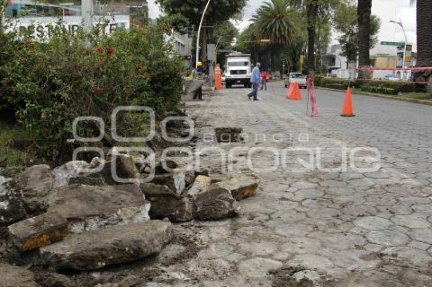 AVENIDA JUÁREZ