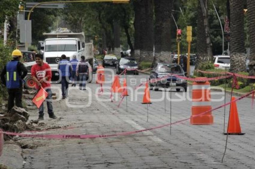 AVENIDA JUÁREZ