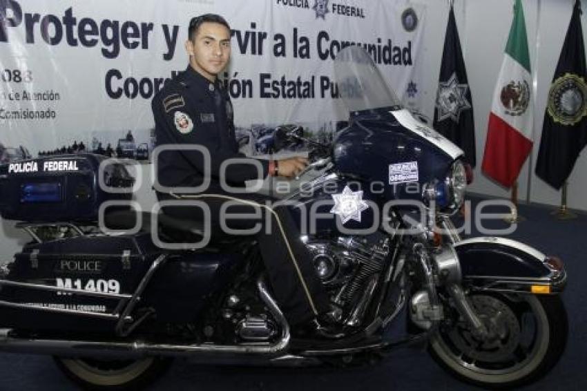 SEGURIDAD . POLICÍAS