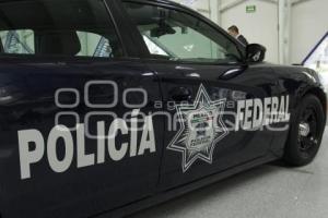 SEGURIDAD . POLICÍAS