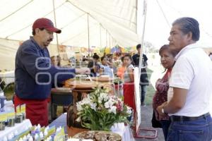 FERIA DEL NOPAL