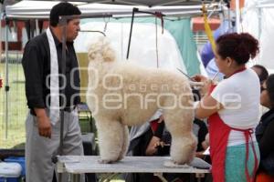 CAMPEONATO NACIONAL DE PERROS