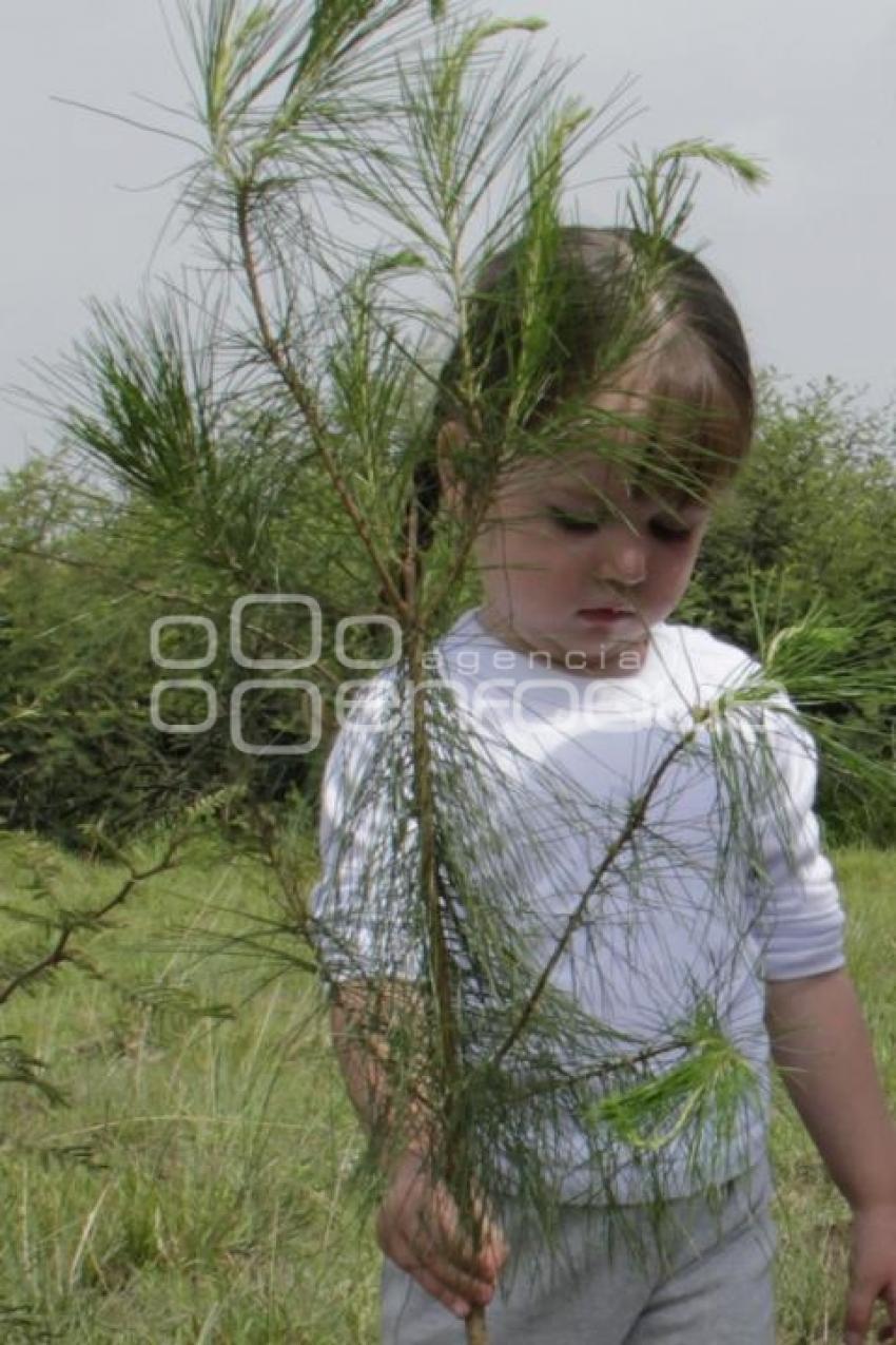 DÍA MUNDIAL DEL MEDIO AMBIENTE