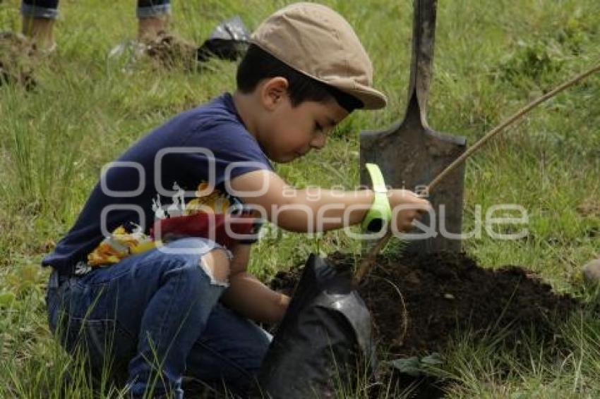 DÍA MUNDIAL DEL MEDIO AMBIENTE