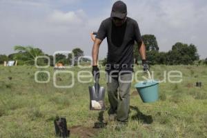 DÍA MUNDIAL DEL MEDIO AMBIENTE