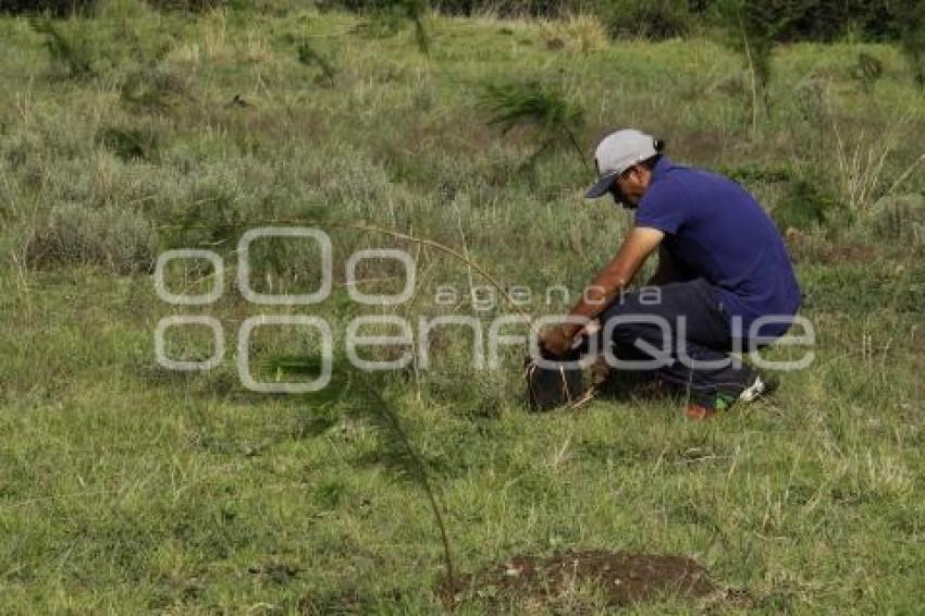 DÍA MUNDIAL DEL MEDIO AMBIENTE