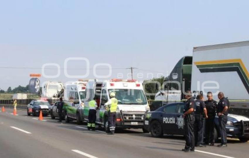 NOTA ROJA . MUERE TRANSPORTISTA