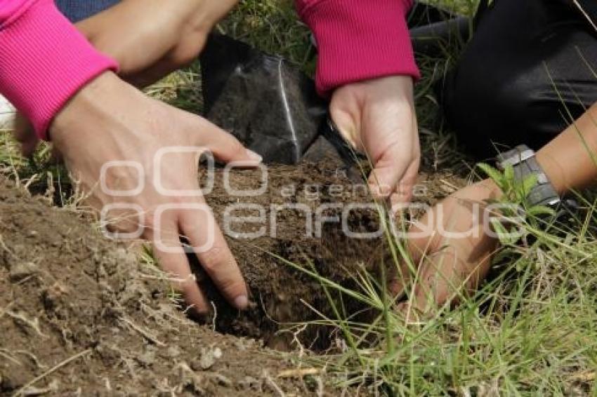 DÍA MUNDIAL DEL MEDIO AMBIENTE