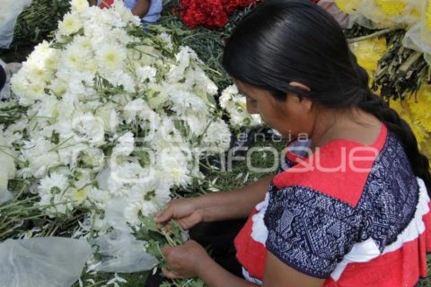 FESTIVIDAD VIRGEN DE LOS REMEDIOS