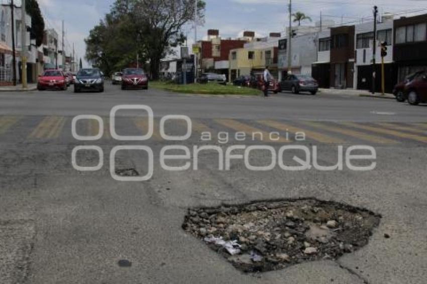 BACHES