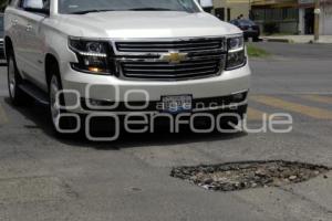 BACHES