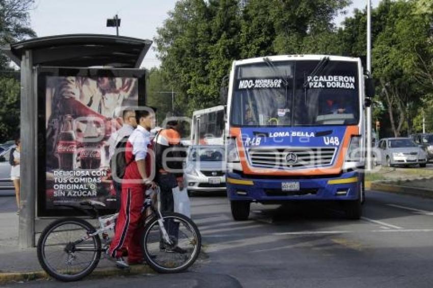 TRANSPORTE PÚBLICO