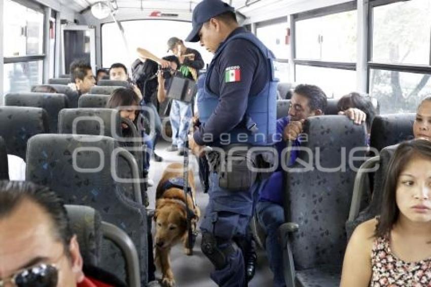 OPERATIVO CANINO EN TRANSPORTE PÚBLICO