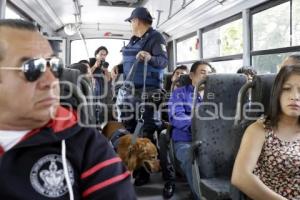 OPERATIVO CANINO EN TRANSPORTE PÚBLICO