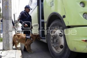 OPERATIVO CANINO EN TRANSPORTE PÚBLICO