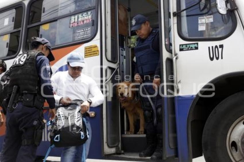 OPERATIVO CANINO EN TRANSPORTE PÚBLICO