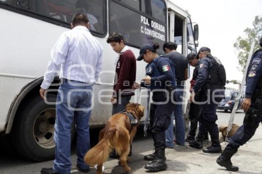 OPERATIVO CANINO EN TRANSPORTE PÚBLICO