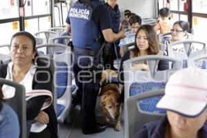 OPERATIVO CANINO EN TRANSPORTE PÚBLICO