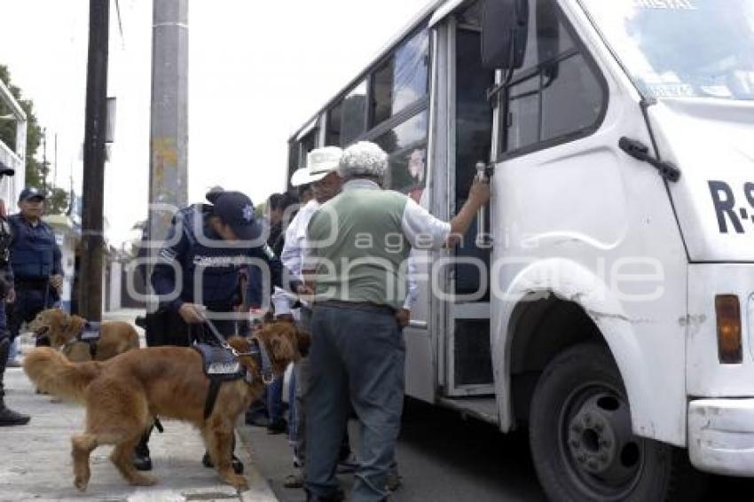 OPERATIVO CANINO EN TRANSPORTE PÚBLICO