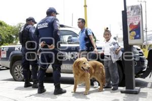 OPERATIVO CANINO EN TRANSPORTE PÚBLICO