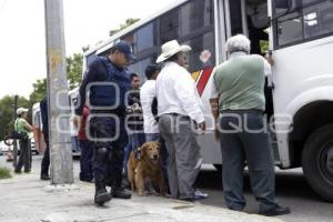 OPERATIVO CANINO EN TRANSPORTE PÚBLICO