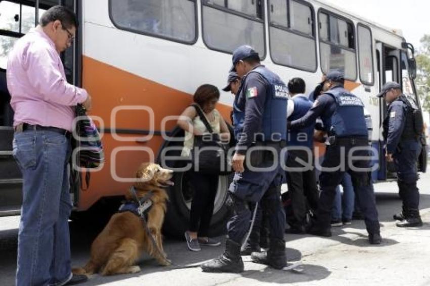 OPERATIVO CANINO EN TRANSPORTE PÚBLICO