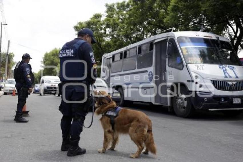 OPERATIVO CANINO EN TRANSPORTE PÚBLICO