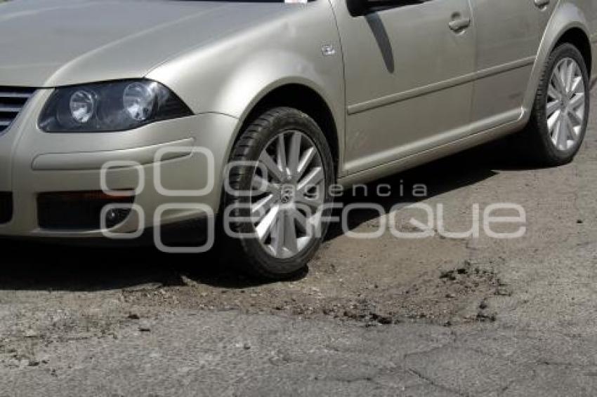 BACHES