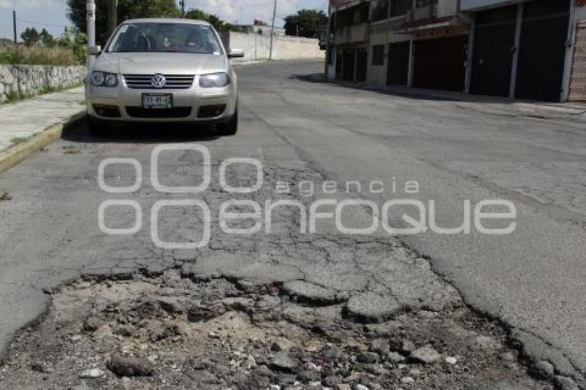 BACHES