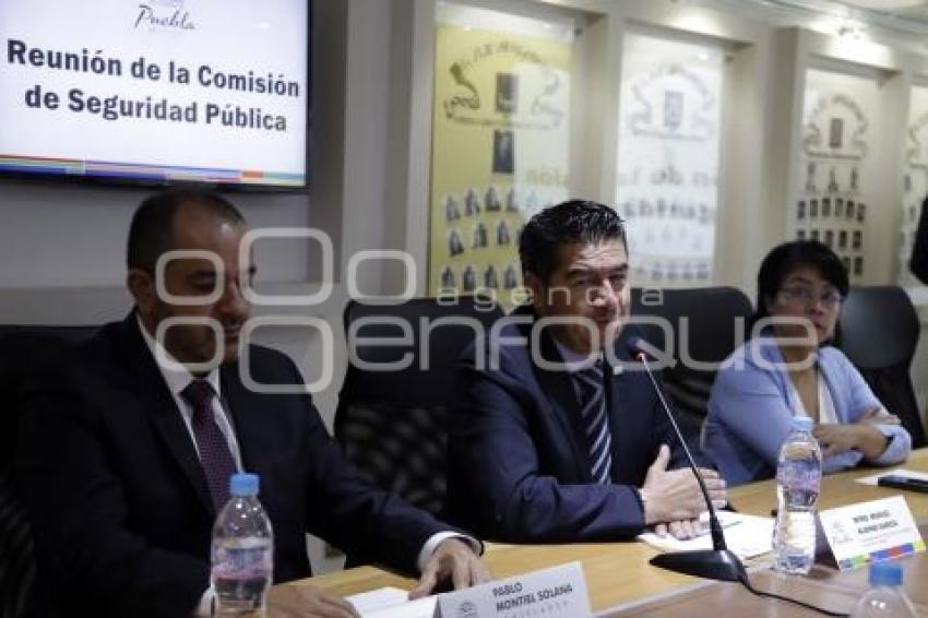 CONGRESO . COMISIÓN SEGURIDAD