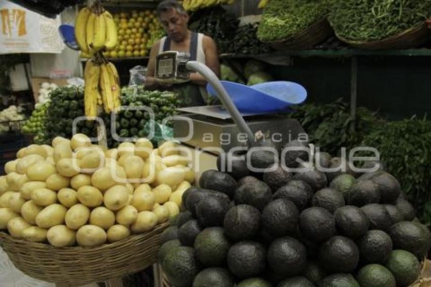 CANASTA BÁSICA . AGUACATE